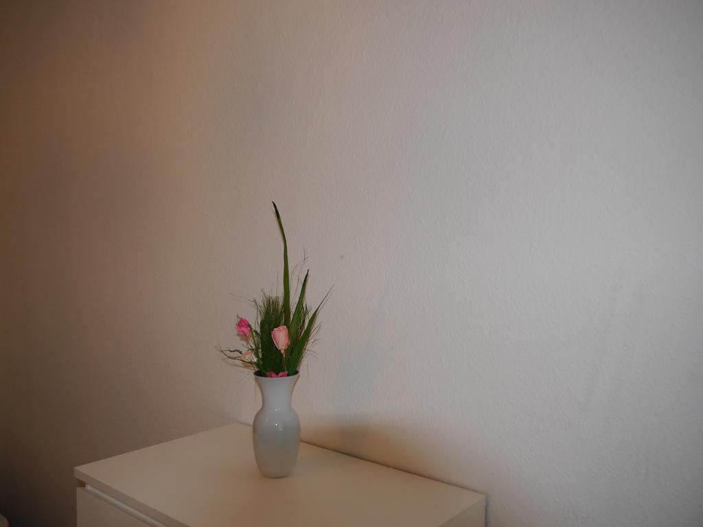 Fidelis 24 * Berlino